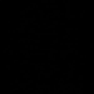 Meet your Posher, Evangelina